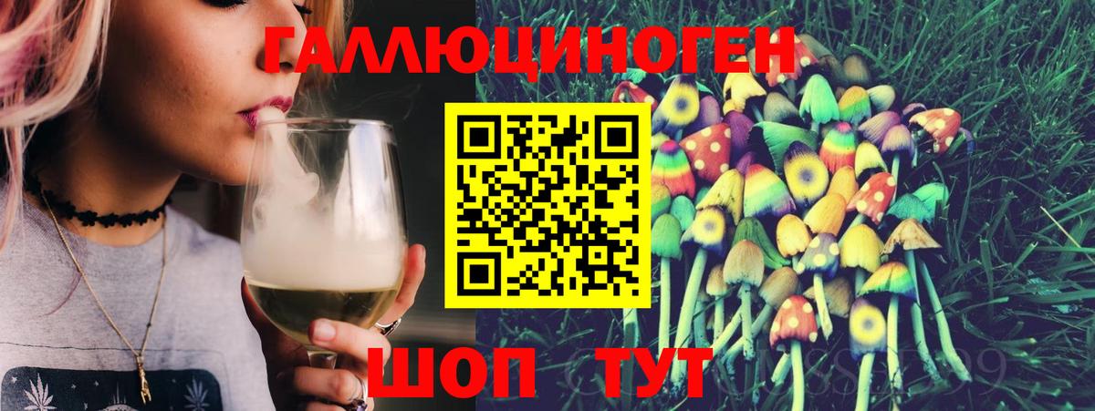 Омск  Псилоцибиновые грибы Psilocybe  Вход с VPN 