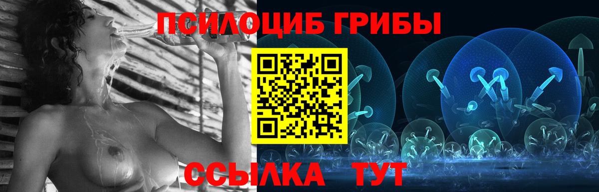 Галлюциногенные грибы Psilocybe Омск